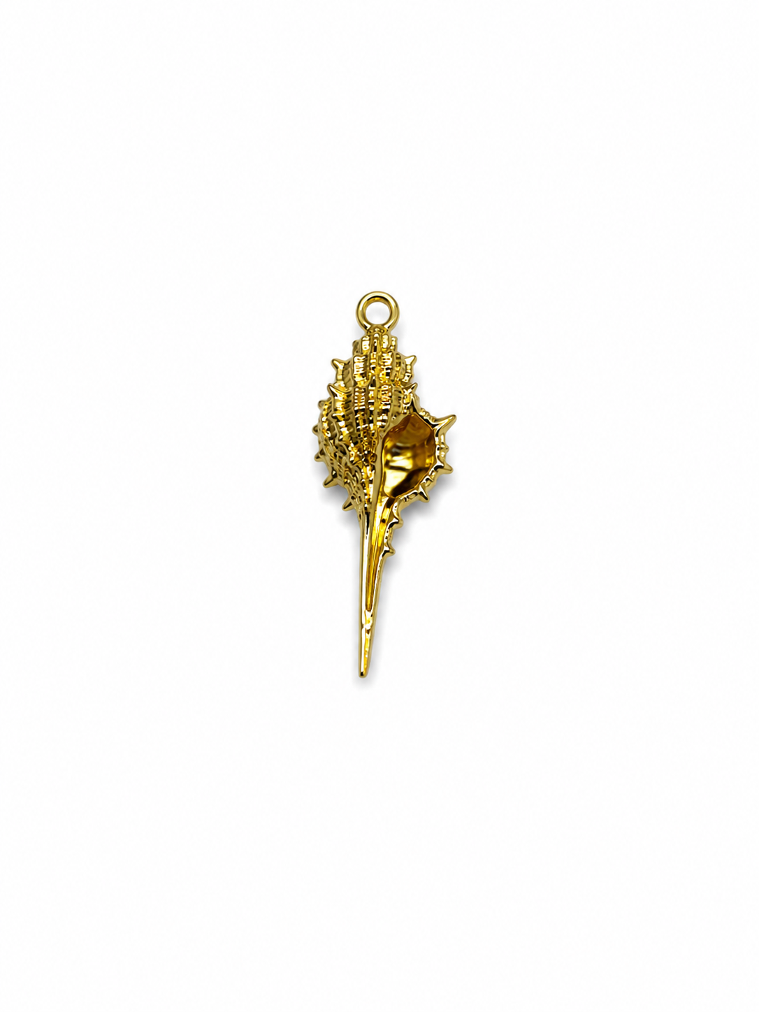 CHARM 038